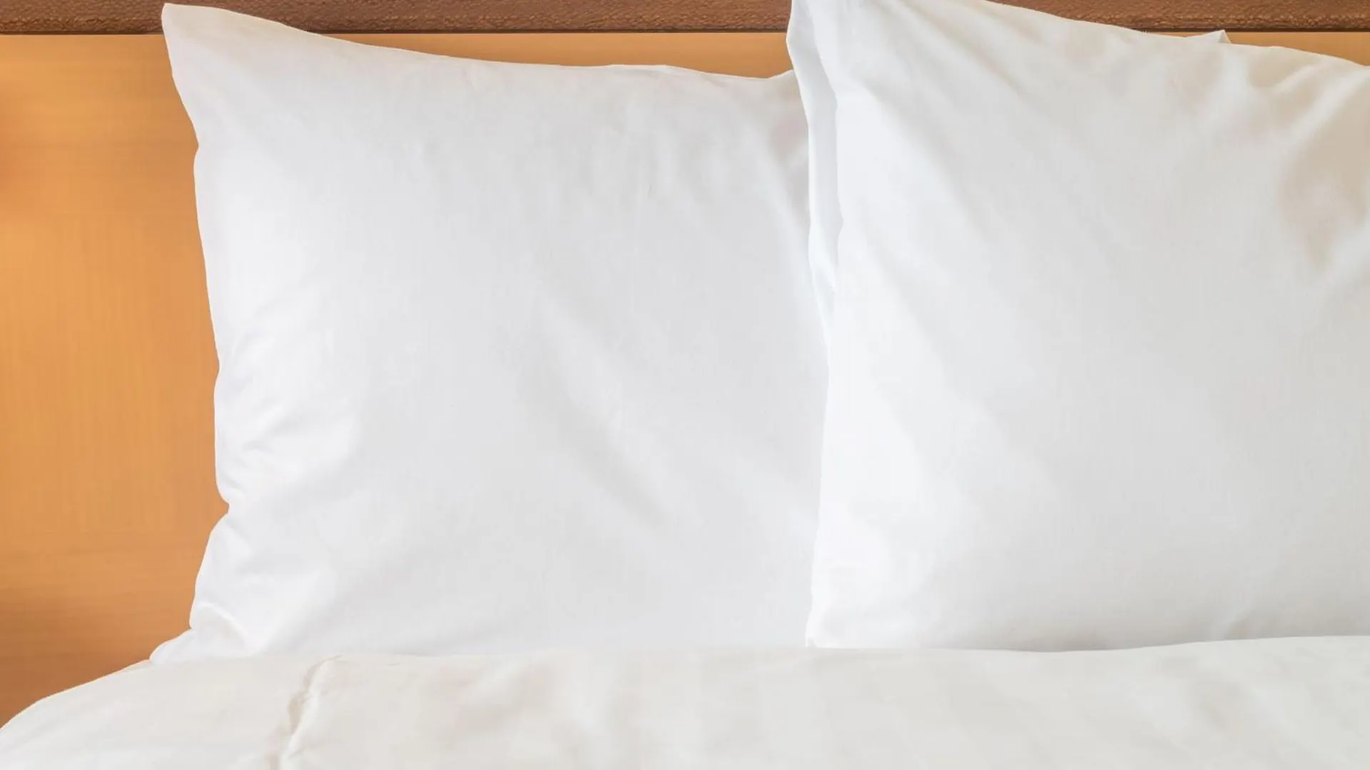 Ana Crowne Plaza Sapporo By Ihg Ξενοδοχείο 5*,