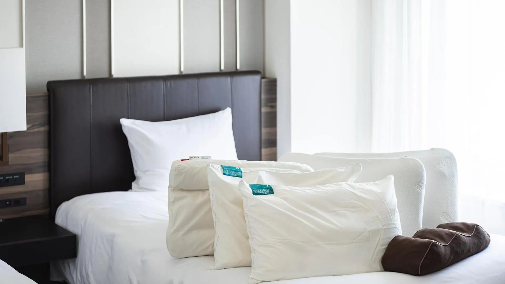 Ana Crowne Plaza Sapporo By Ihg Ξενοδοχείο 5*,